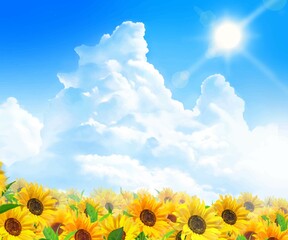 ひまわりの画像